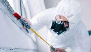 Emergency Pest Control Services in Central, TN